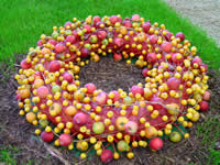 Tivola's Welt - Bildergalerie Bundesgartenschau 2003 in Rostock