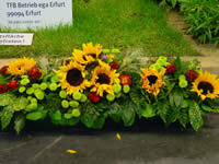 Tivola's Welt - Bildergalerie Bundesgartenschau 2003 in Rostock