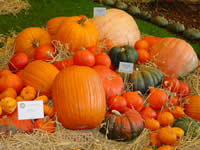 Tivola's Welt - Bildergalerie Bundesgartenschau 2003 in Rostock