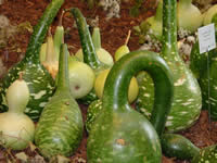 Tivola's Welt - Bildergalerie Bundesgartenschau 2003 in Rostock