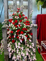 Tivola's Welt - Bildergalerie Bundesgartenschau 2003 in Rostock