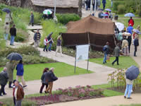 Tivola's Welt - Bildergalerie Bundesgartenschau 2003 in Rostock