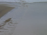 Tivola's Welt - Bildergalerie Sommerurlaub Frankreich (2003)