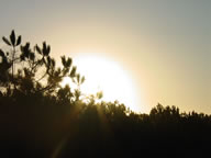 Tivola's Welt - Bildergalerie Sommerurlaub Frankreich (2003)