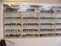 Tivola's Welt - Bildergalerie Kurztripp mit Schlot nach Hamburg im Agust 2005