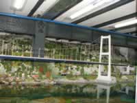 Tivola's Welt - Bildergalerie Kurztripp mit Schlot nach Hamburg im Agust 2005