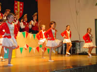 Tivola's Welt - Bildergalerie 1. Faschingssitzung am 11.02.2006 in Schnrainhalle in Neuendorf 