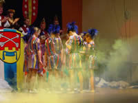 Tivola's Welt - Bildergalerie 1. Faschingssitzung am 11.02.2006 in Schnrainhalle in Neuendorf 