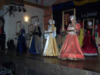 Tivola's Welt - Bildergalerie 1. Faschingssitzung am 11.02.2006 in Schnrainhalle in Neuendorf 