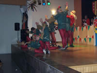 Tivola's Welt - Bildergalerie 1. Faschingssitzung am 11.02.2006 in Schnrainhalle in Neuendorf 