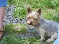 Tivola's Welt - Bildergalerie Ausflug der Brgernetze Main-Spessart e.V. in die Rhn mit Besichtigung des Senders Kreuzberg 2006