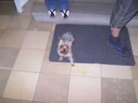 Tivola's Welt - Bildergalerie Ausflug der Brgernetze Main-Spessart e.V. in die Rhn mit Besichtigung des Senders Kreuzberg 2006