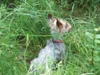 Tivola's Welt - Bildergalerie Pumpspeicherwerk in Langenprozelten 2006 mit Berufsschule Lohr