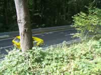 Tivola's Welt - Bildergalerie Autorennen Eichenbhl