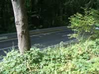 Tivola's Welt - Bildergalerie Autorennen Eichenbhl