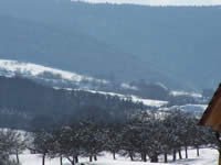 Tivola's Welt - Bildergalerie Winderwanderung im Neuendorfer Wald am Sonntag, den 05.03.2006