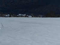 Tivola's Welt - Bildergalerie Winderwanderung im Neuendorfer Wald am Sonntag, den 05.03.2006