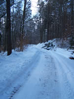 Tivola's Welt - Bildergalerie Winderwanderung im Neuendorfer Wald am Sonntag, den 05.03.2006