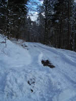 Tivola's Welt - Bildergalerie Winderwanderung im Neuendorfer Wald am Sonntag, den 05.03.2006