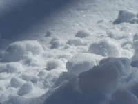 Tivola's Welt - Bildergalerie Winderwanderung im Neuendorfer Wald am Sonntag, den 05.03.2006