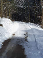 Tivola's Welt - Bildergalerie Winderwanderung im Neuendorfer Wald am Sonntag, den 05.03.2006