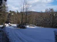 Tivola's Welt - Bildergalerie Winderwanderung im Neuendorfer Wald am Sonntag, den 05.03.2006