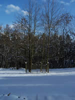 Tivola's Welt - Bildergalerie Winderwanderung im Neuendorfer Wald am Sonntag, den 05.03.2006