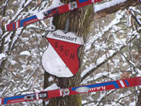 Tivola's Welt - Bildergalerie Winderwanderung im Neuendorfer Wald am Sonntag, den 05.03.2006