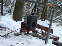 Tivola's Welt - Bildergalerie Winderwanderung im Neuendorfer Wald am Sonntag, den 05.03.2006