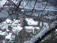 Tivola's Welt - Bildergalerie Winderwanderung im Neuendorfer Wald am Sonntag, den 05.03.2006