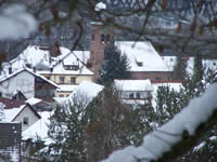 Tivola's Welt - Bildergalerie Winderwanderung im Neuendorfer Wald am Sonntag, den 05.03.2006