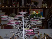 Tivola's Welt - Bildergalerie Indienurlaub - 2007-09-08