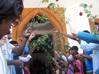 Tivola's Welt - Bildergalerie Indienurlaub - 2007-09-08