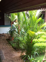 Tivola's Welt - Bildergalerie Indienurlaub - 2007-09-09