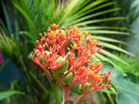 Tivola's Welt - Bildergalerie Indienurlaub - 2007-09-09