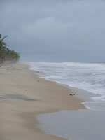 Tivola's Welt - Bildergalerie Indienurlaub - 2007-09-09