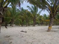 Tivola's Welt - Bildergalerie Indienurlaub - 2007-09-09