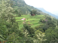 Tivola's Welt - Bildergalerie Indienurlaub - 2007-09-10 / 09-13