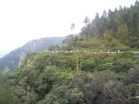 Tivola's Welt - Bildergalerie Indienurlaub - 2007-09-10 / 09-13