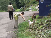 Tivola's Welt - Bildergalerie Indienurlaub - 2007-09-10 / 09-13