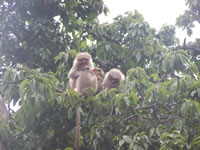 Tivola's Welt - Bildergalerie Indienurlaub - 2007-09-10 / 09-13