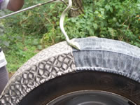 Tivola's Welt - Bildergalerie Indienurlaub - 2007-09-10 / 09-13