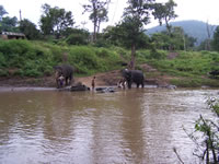 Tivola's Welt - Bildergalerie Indienurlaub - 2007-09-10 / 09-13