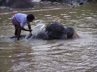 Tivola's Welt - Bildergalerie Indienurlaub - 2007-09-10 / 09-13