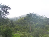 Tivola's Welt - Bildergalerie Indienurlaub - 2007-09-10 / 09-13