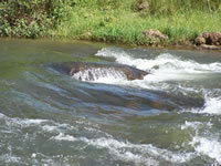 Tivola's Welt - Bildergalerie Indienurlaub - 2007-09-10 / 09-13