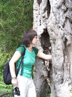 Tivola's Welt - Bildergalerie Indienurlaub - 2007-09-10 / 09-13