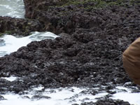 Tivola's Welt - Bildergalerie Indienurlaub 2007