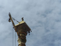 Tivola's Welt - Bildergalerie Indien 16.09.2007