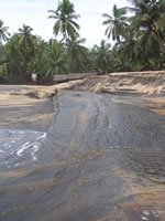 Tivola's Welt - Bildergalerie Indienurlaub 17.09.2007